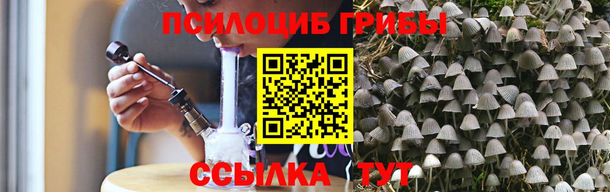 Галлюциногенные грибы Psilocybine cubensis  Вход с VPN  наркота  Сергиев Посад 